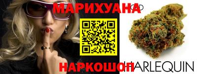 Альфа ПВП Малгобек