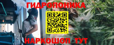 Альфа ПВП Малгобек