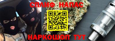 Альфа ПВП Малгобек