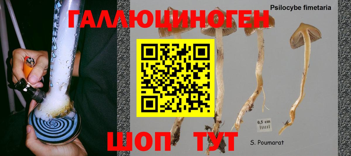 Бирск  Галлюциногенные грибы ЛСД  Вход с VPN 