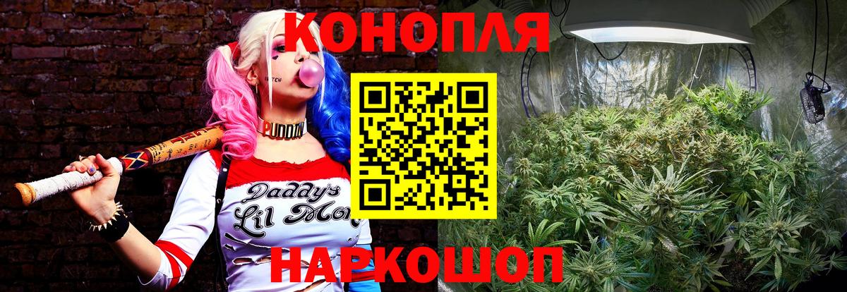 МАРИХУАНА конопля Бирск